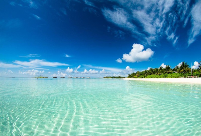 Image: Absolute Beachfront Villas