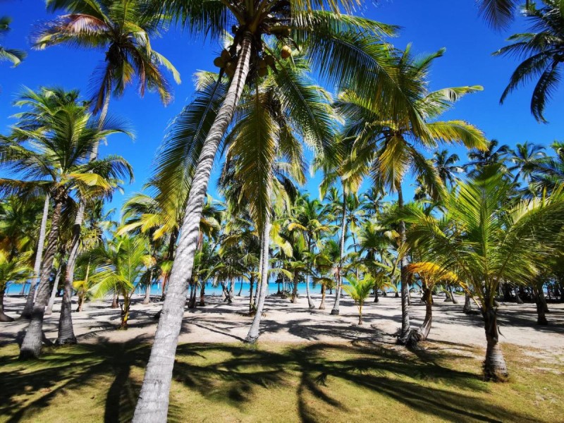 Image: Hotel Playa Mandala