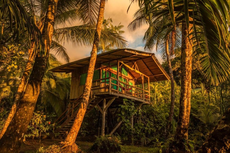 Image: Ocean Forest Ecolodge