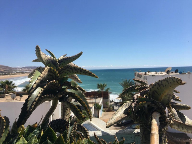 Image: Ocean Surf Lodge