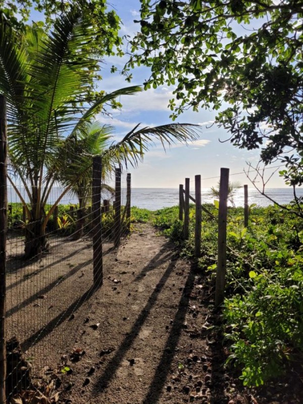 Image: Chalé Ibirapitanga