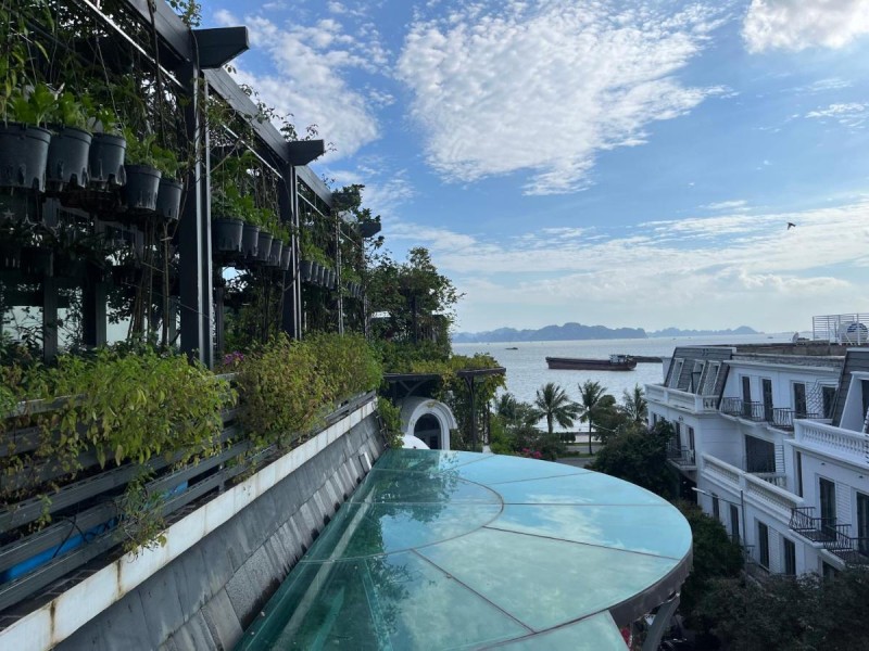 Image: Paris Of Dragon Bay