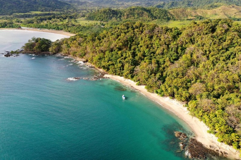 Image: Los Vivos Beachfront Experience