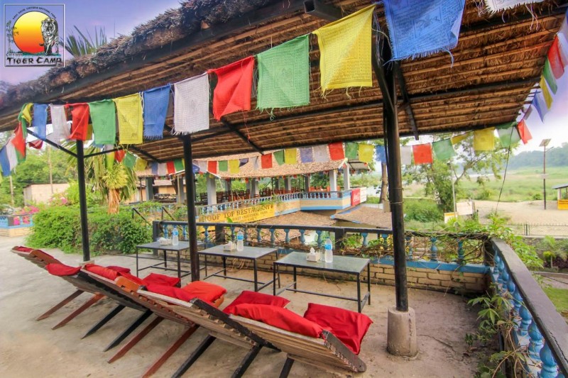 Image: Chitwan Tiger Camp