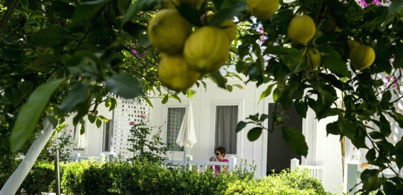 Image: Blue & White Hotel