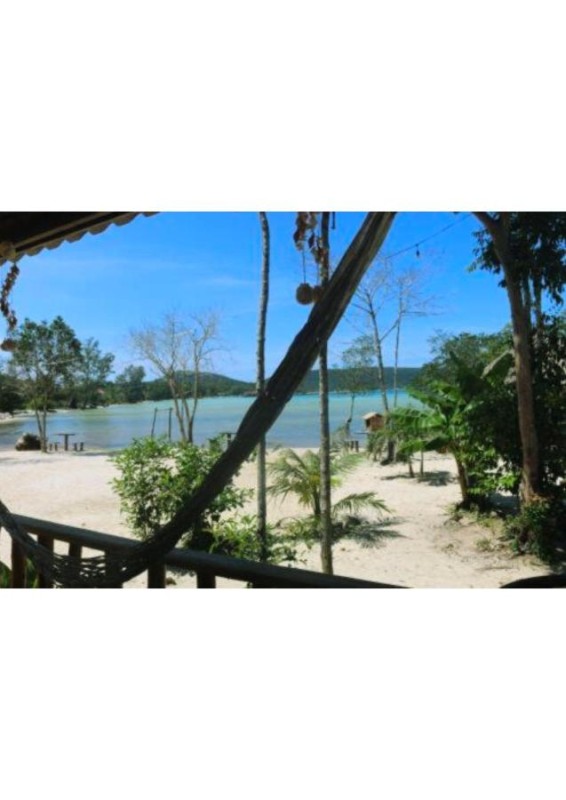 Image: Mangrove Beach Bungalows