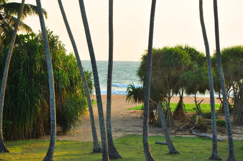 Image: Ocean View