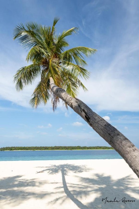Image: Manta Reserve