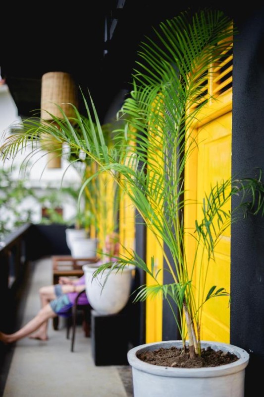 Image: Mellow Bay Living Beach Coworking & Coliving