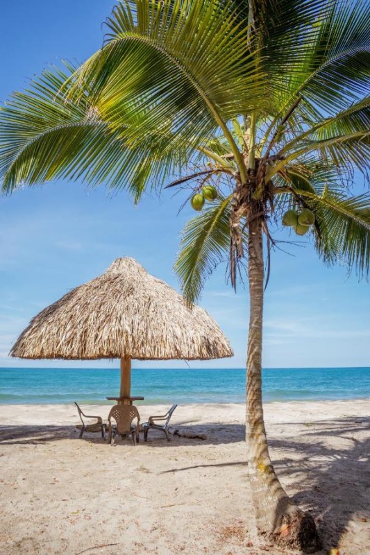 Image: UUTTAAKA Eco-Hotel