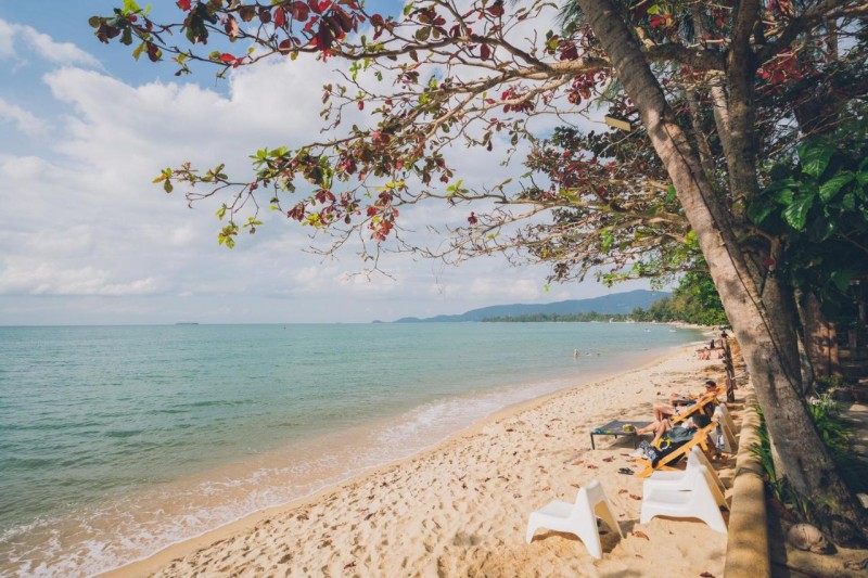 Image: Chill Inn Lipa Noi Hostel and Beach Cafe