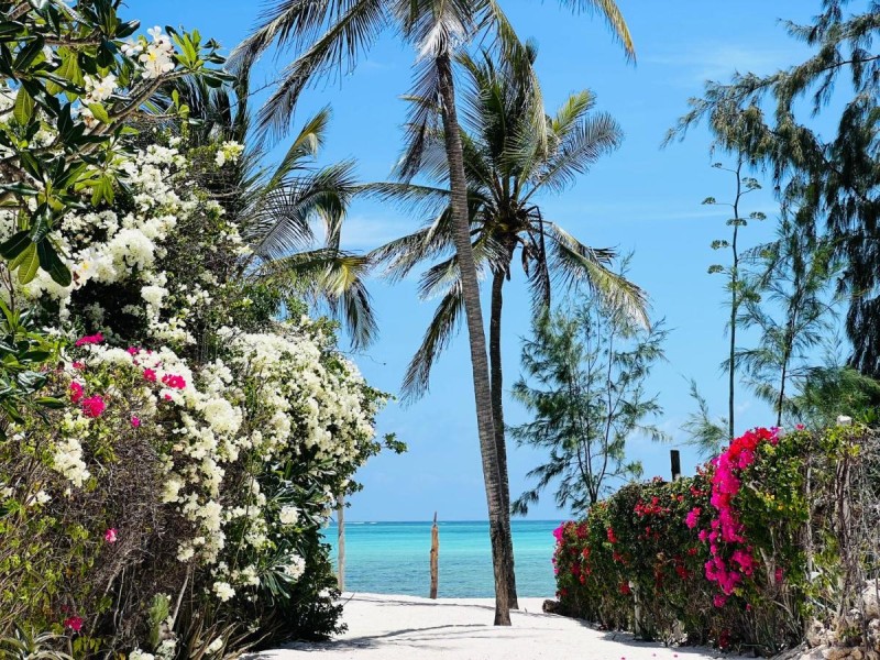 Image: Beba.Beach.House