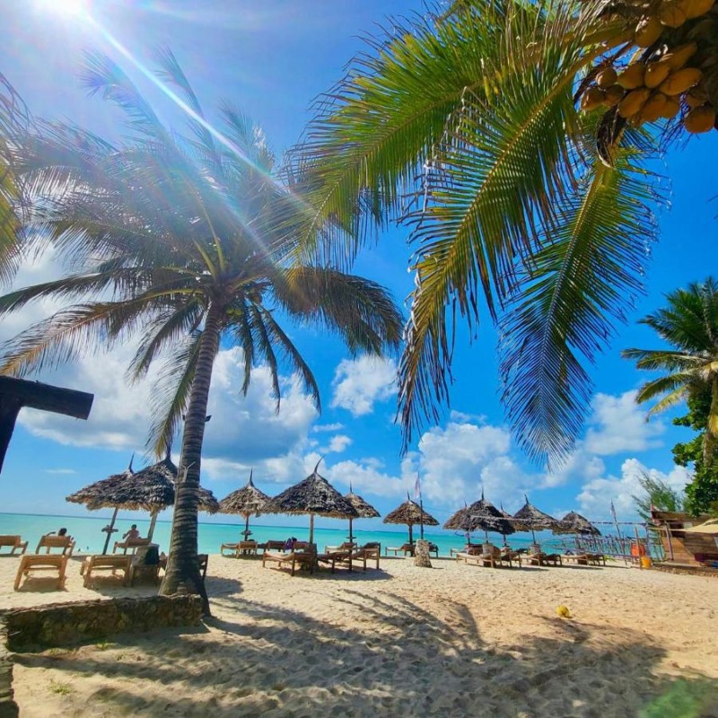 Image: Mambo Ocean Resort
