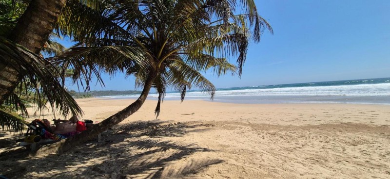 Image: Moonlight beach
