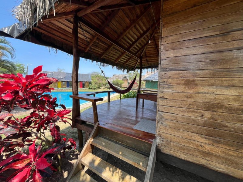 Image: Kamala Surf & Backpacker Hostel