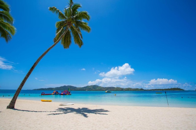 Image: Plantation Island Resort